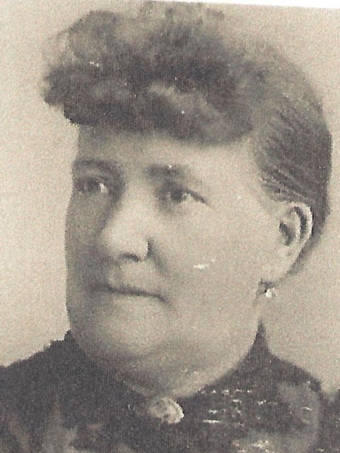 Priscilla Seymour Boyd (1847 - 1915) Profile